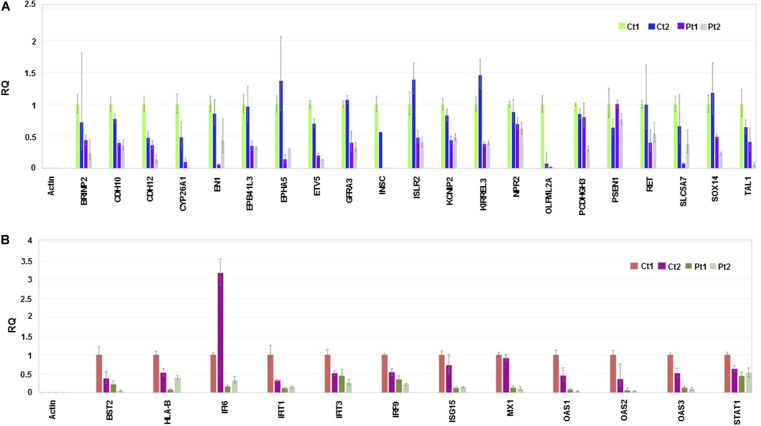 FIGURE 4