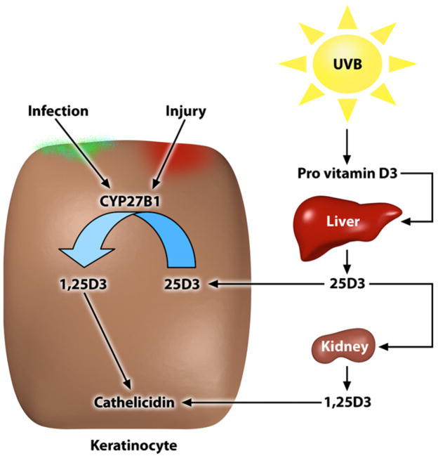 FIG 2