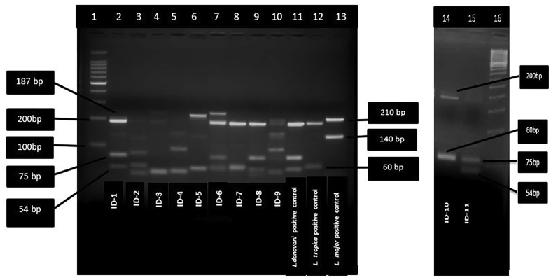 Figure 6