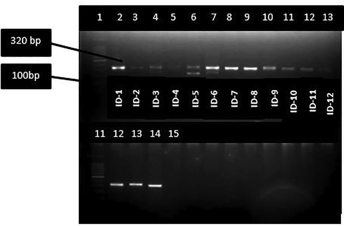 Figure 5