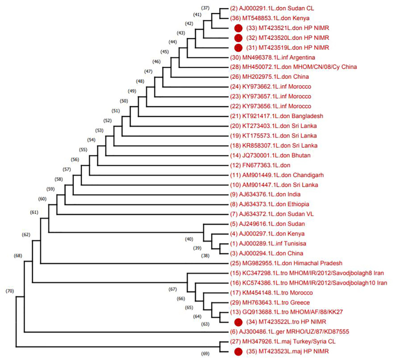 Figure 7