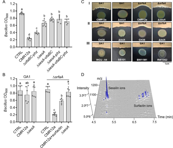 FIG 3