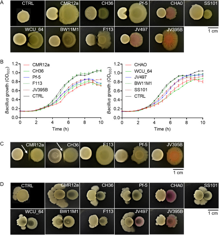 FIG 2