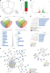 Figure 5. Treatment effects of dual inhibitor (LAK-FFK11) in vitro. A, A PCA illustrating changes in chromatin accessibility upon treatment with LAK31, Romidepsin, Quisinostat, and LAK-FFK11 in comparison to the DMSO control as measured by ATAC-seq. B, A bar plot illustrating the number of opened (green) and closed (red) chromatin regions after treatment with the dual inhibitor LAK-FFK11 in 2102EP cells in comparison with DMSO solvent control. C, A HOMER algorithm-based screening for transcription factor–binding motifs in DNA rendered accessible or inaccessible after HDACi treatment of 2102EP cells. Venn diagrams summarize similarities in the identified TOP50 motifs. Bar diagrams highlight the TOP10 binding motifs (sorted by P value in LAK-FFK11–treated 2102EP cells) and their distribution in target sequences affected by HDACi treatment. Motifs identified in both, LAK-FFK11 and the other HDACi are labeled in green. D, A Volcano plot of transcriptional changes upon LAK-FFK11 treatment in comparison with the DMSO solvent control in 2102EP cells as measured by RNA-seq (FDR-corrected P < 0.05, FC - log2 4 is shown in red; FC log2 4 is shown in green). DAVID (E) and STRING (F) interaction analysis for commonly up- and downregulated genes of 2102EP cells treated with LAK-FFK11 (high stringency).