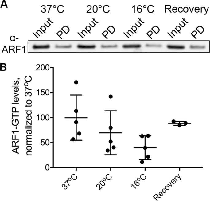 FIGURE 4: