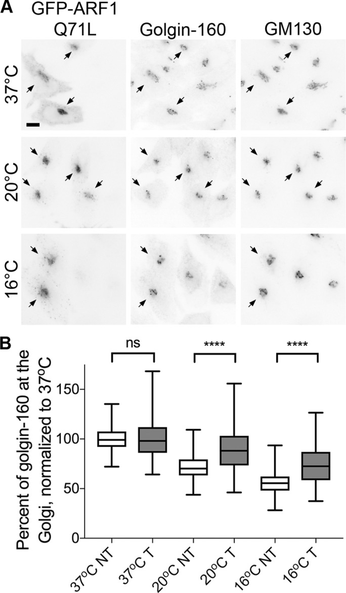 FIGURE 6: