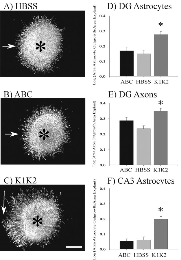 
Figure 10.
