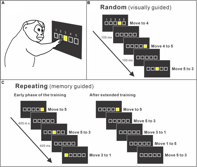 FIGURE 2