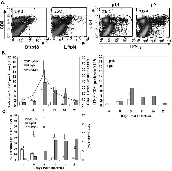 FIG. 2.