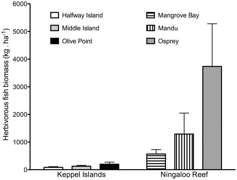 Figure 5