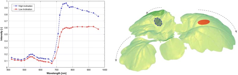 Fig. 5