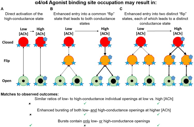 Fig 12