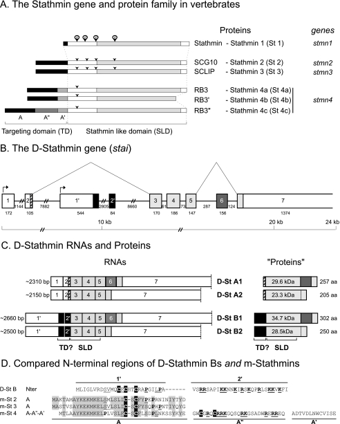 FIGURE 1.