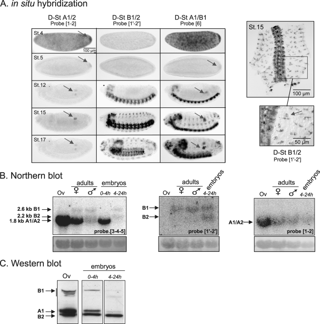 FIGURE 3.