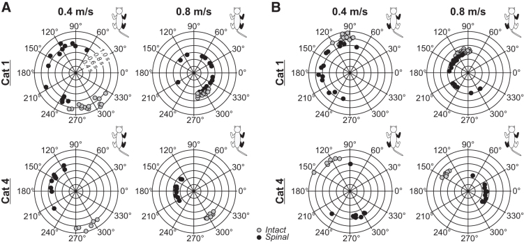 FIG. 8.