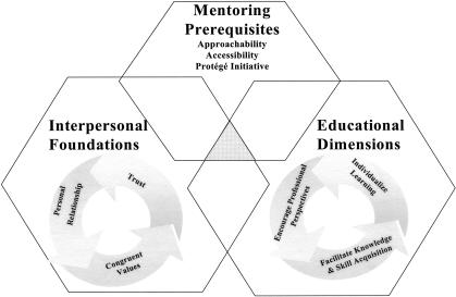 A conceptual model of the mentoring processes