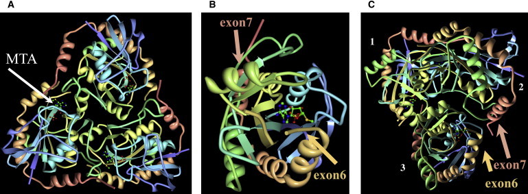 Figure 6