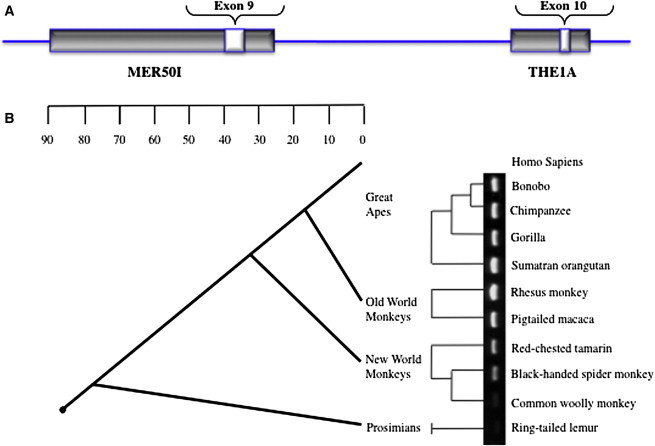 Figure 7