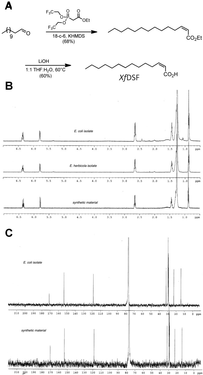 FIG 1