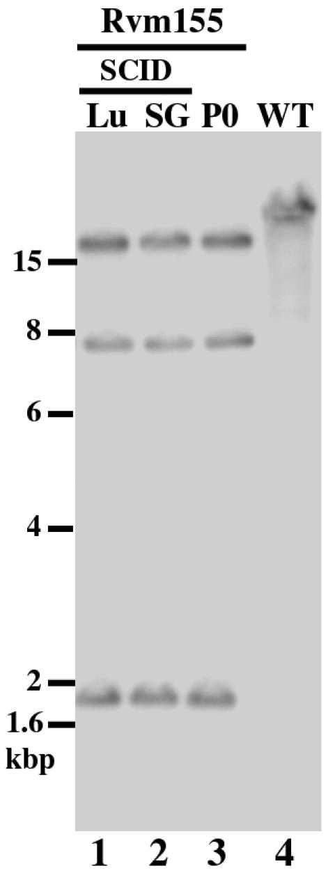 FIG. 6.