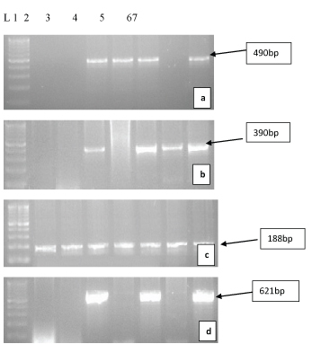 [Table/Fig-6]: