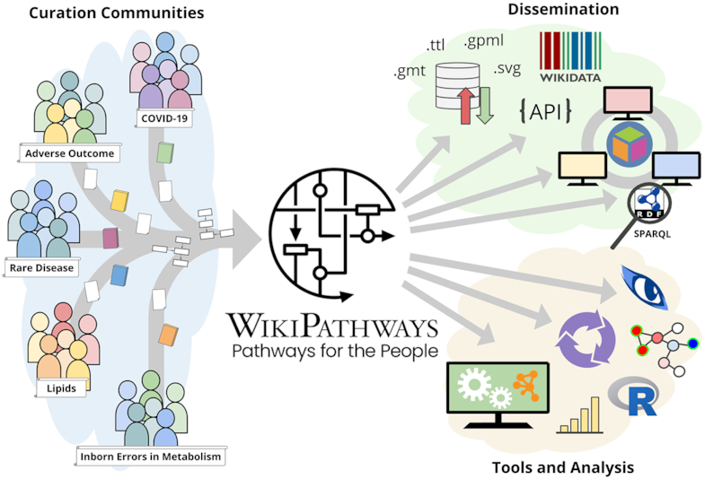 Graphical Abstract