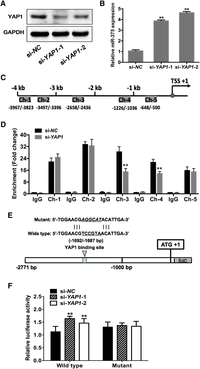 Figure 7