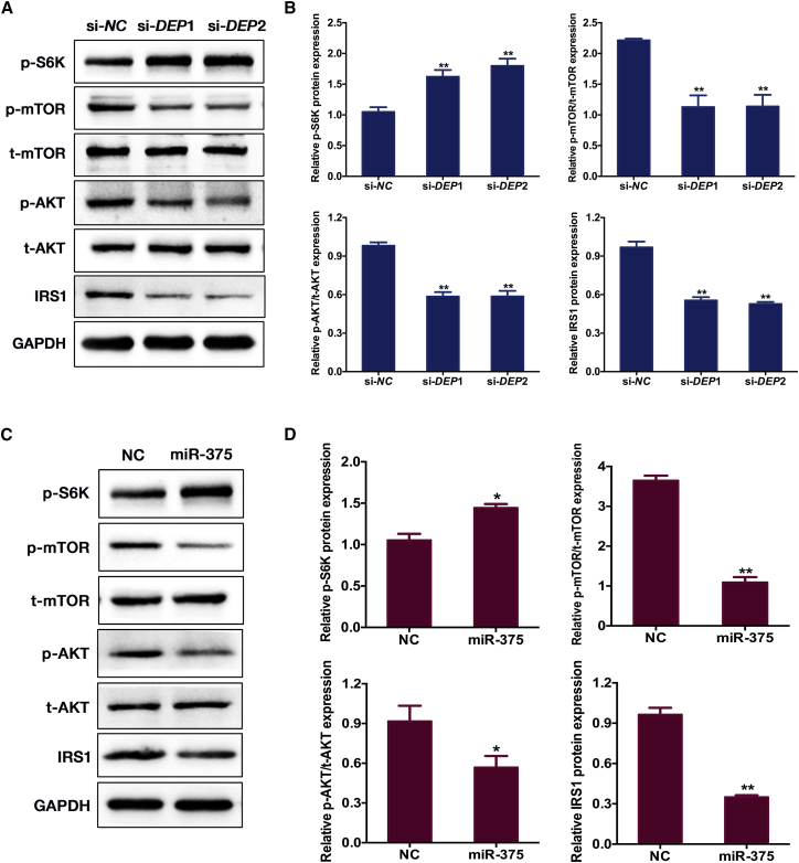 Figure 6