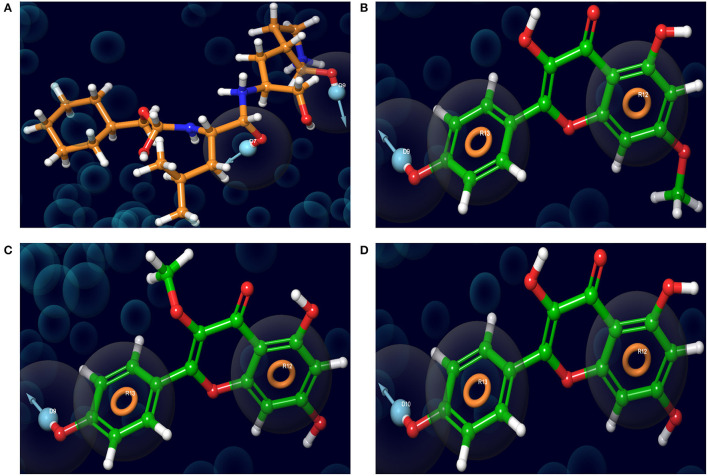 Figure 5