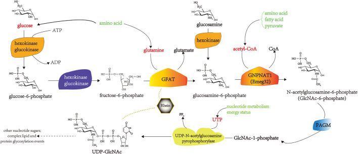 FIGURE 3