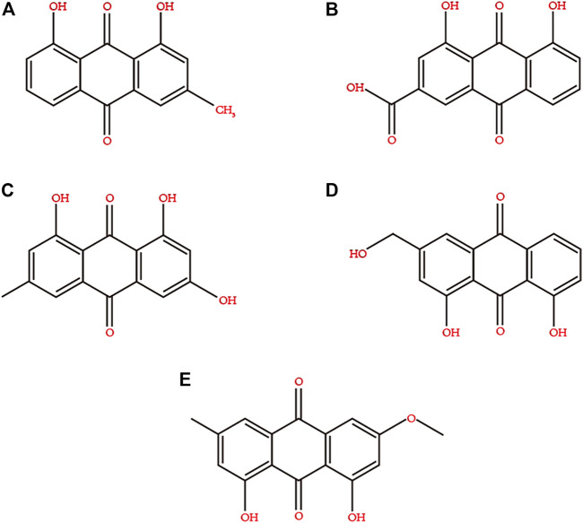 FIGURE 2