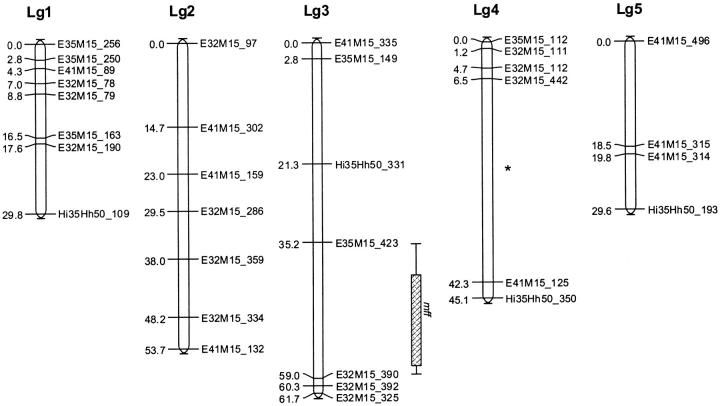 Figure 4.—