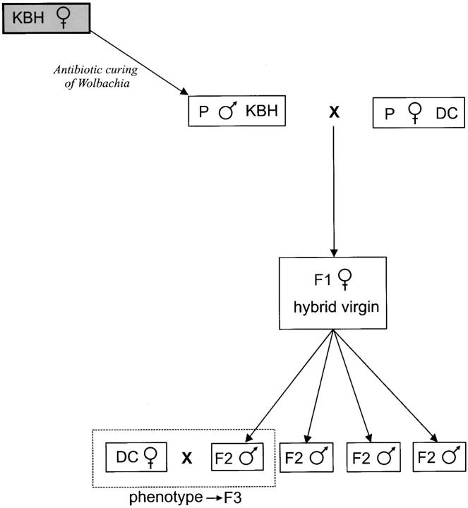 Figure 1.—