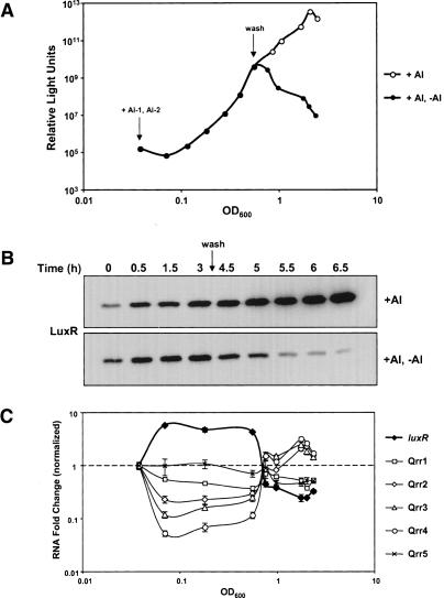 Figure 9.