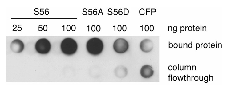 Fig. 8