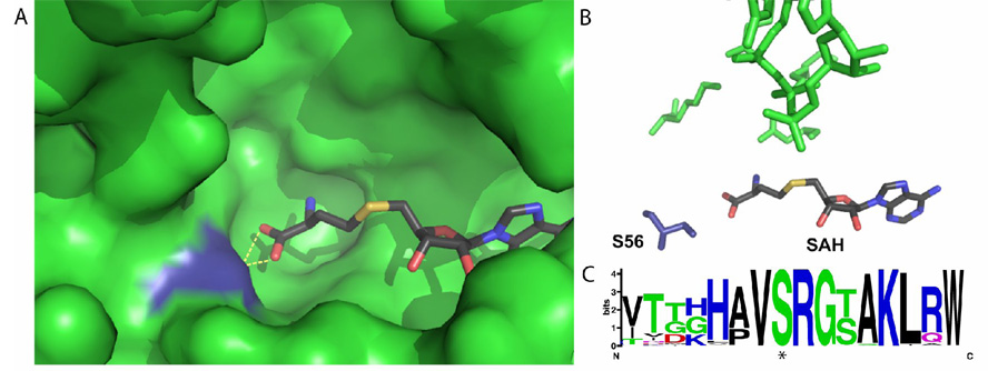 Fig. 6