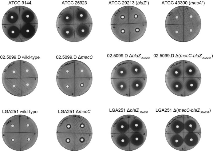 Extended Data Fig. 4