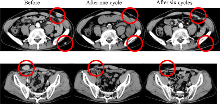 FIGURE 4