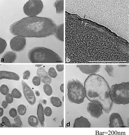 FIG. 9.