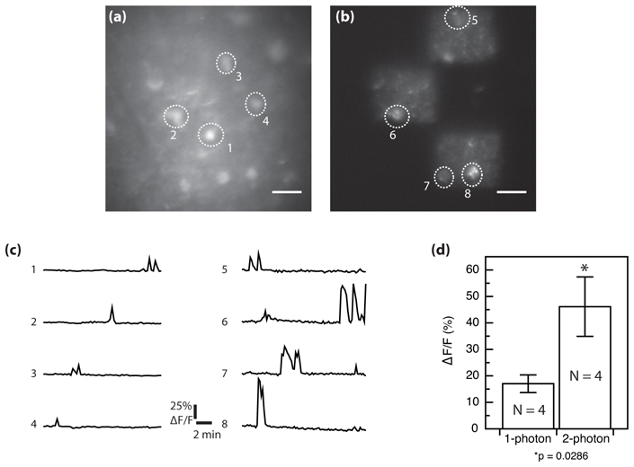 Fig. 3.