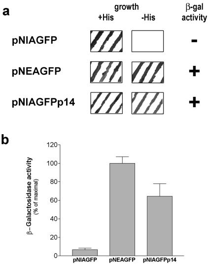 FIG. 7.