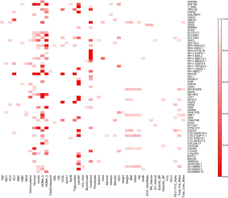 Fig 12