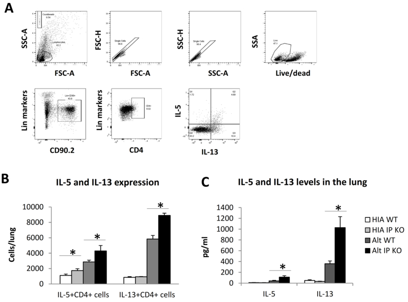 Fig. 8.