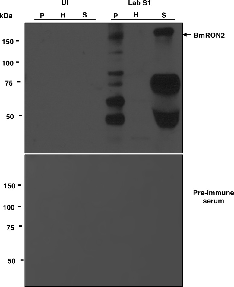 Figure S1.