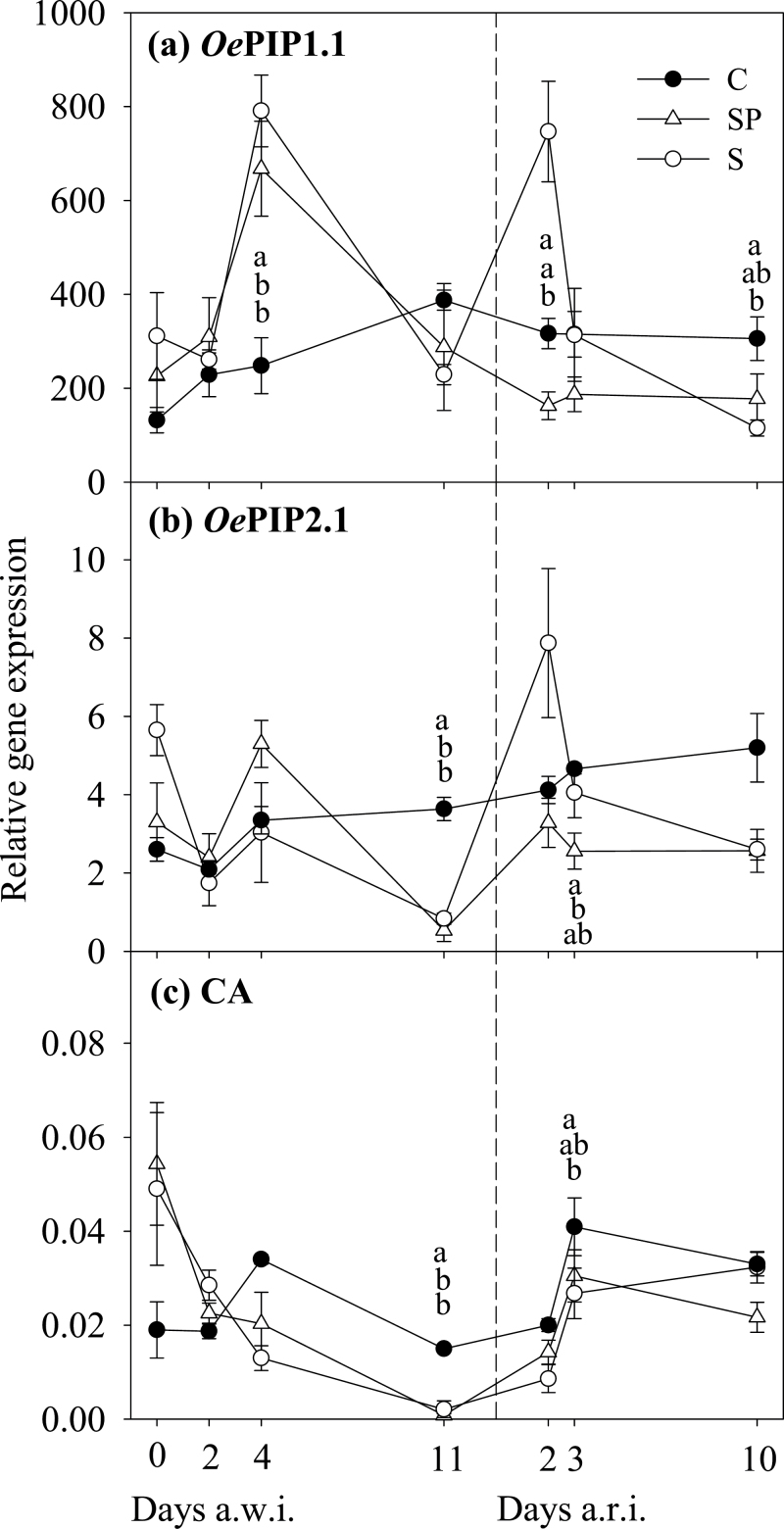 Fig. 5.