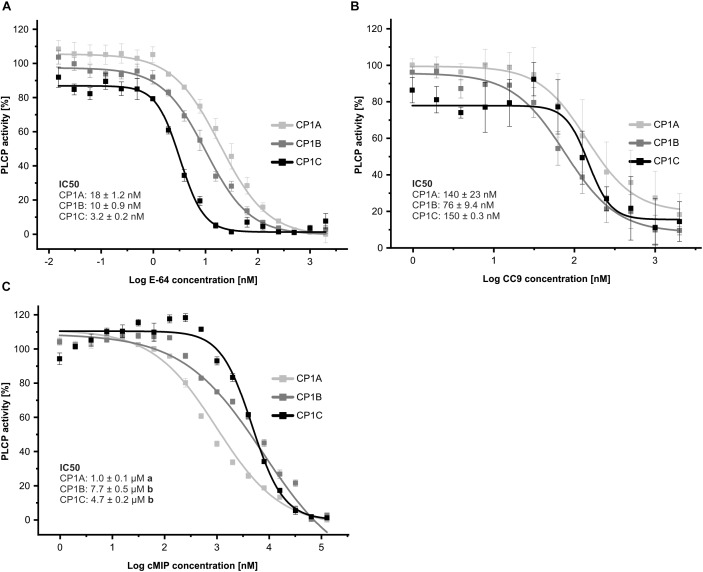 FIGURE 6