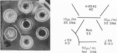 FIG. 5