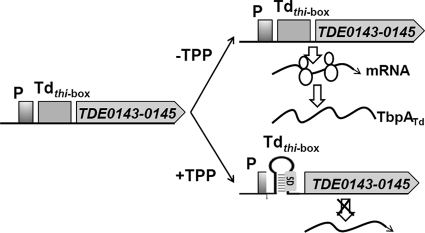 Fig. 9.