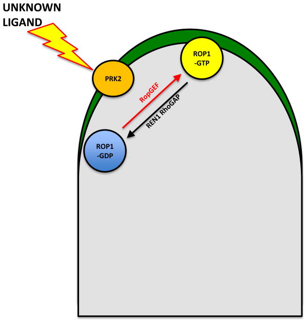 FIGURE 4