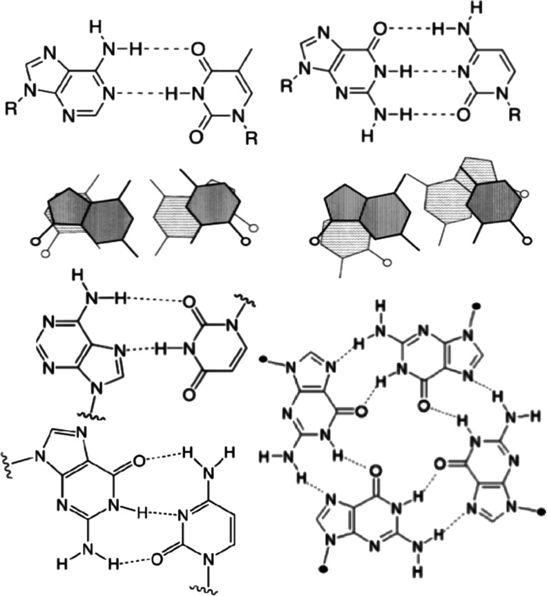 FIG. 1.